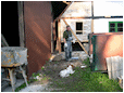 Hestebedg�rd - pulterkammer under opbygning