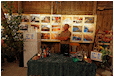 Hestebedg�rd - h�stfest 13. september 2014. Foto: Ib Ballisager