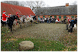 Hestebedg�rd - julestue, og juleridning og julemarked 29. november 2014. Foto: Ib Ballisager