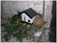 Hestebedg�rd - julestue, og juleridning og julemarked 27. november 2016. Foto: Carsten Roug