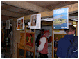 Hestebedg�rd - Or�dagen 6/6-2010