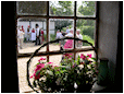 Hestebedg�rd - Or�dagen 6/6-2010