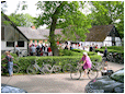 Hestebedg�rd - Or�dagen 6/6-2010