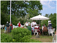 Hestebedg�rd - Or�dagen 5/6-2011