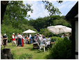 Hestebedg�rd - Or�dagen 5/6-2011