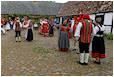 Hestebedg�rd - Or�dagen 7/6-2015. Foto: Ib Ballisager