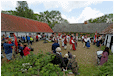 Hestebedg�rd - Or�dagen 7/6-2015. Foto: Ib Ballisager