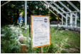Hestebedg�rd - Or�dagen 3/6-2018. Foto: Yann Houlberg Andersen